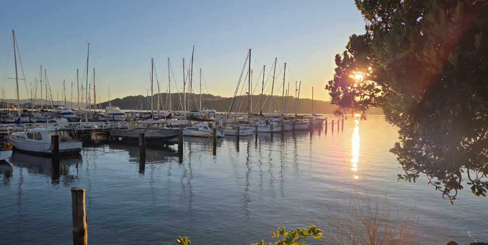 Marina Image