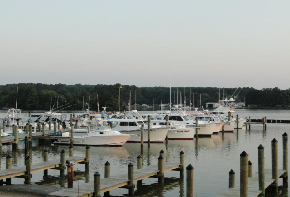 Marina Image