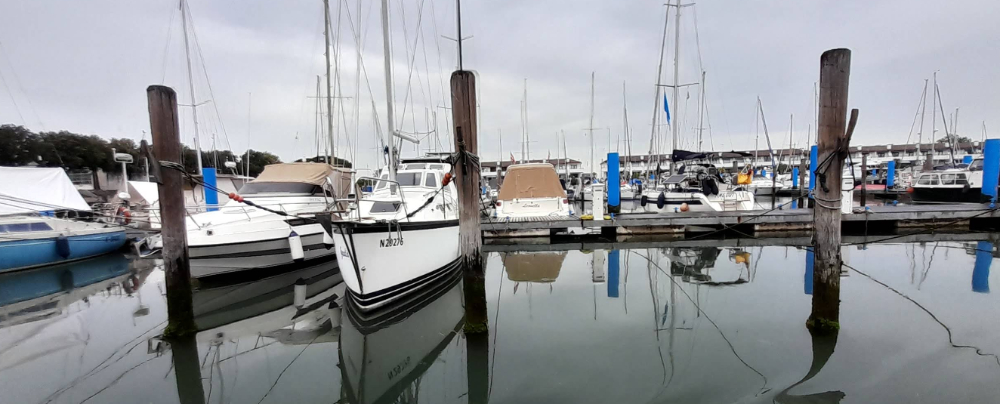 Marina Image