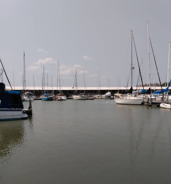 Marina Image