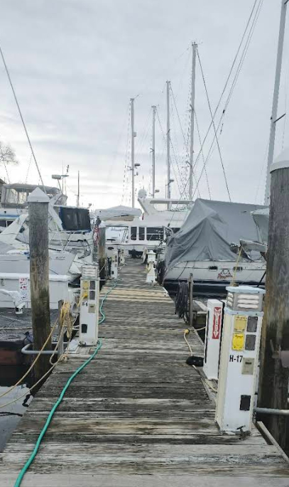 Marina Image
