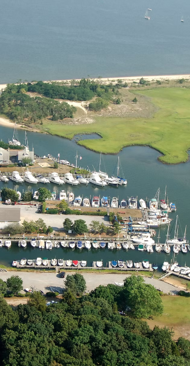 Marina Image