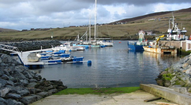 Marina Image