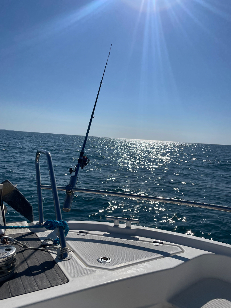 Marina Image